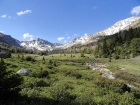 View up Left Fork Fall Creek.