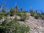 Somewhat sandy slopes above 9700'.