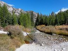 Alpine Creek, almost back to the trailhead.