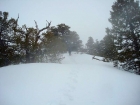 Heading up the ridge.