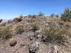 Highpoint of Razorback Ridge.