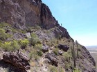 Heading back up the south side of Picacho Peak.