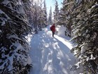 Heading back down through the trees.