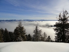 A sea of fog below.