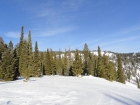 View up the ridge toward the summit.