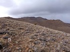 View of Doyle Mountain on our way up.