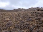 The summit of Doyle Mountain comes into view.