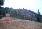 Looking up the ridge to the northeast of Cold Springs Saddle.