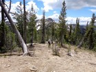 Parks Peak in the distance as we descend from Peak 8569'.