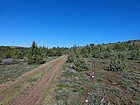 Leaving the trailhead at Toy Pass.