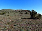 Wandering up the open ridge.