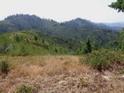 First view of the Rabbit Peak ridge.