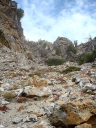 Entering the grungy gully at the base of the southeast ridge.