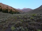 View west up the valley. Diamond Peak visible, Riddler on far left.