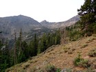 View looking up the canyon.