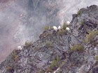 Zoom in shot of goats on the rocks below us.