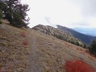Elkhorn Crest Trail on the way back to Marble Pass.