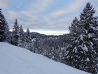 Love the snowy trees this time of year.