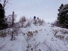 Summit of Harris Creek Peak.