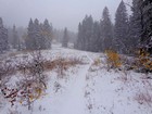 Open meadow along the way.