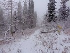 Heading back down the trail.