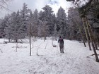 Sandia Crest