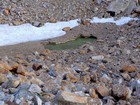 Funky snowmelt pond.
