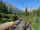 Beautiful meadow where the trail forks to Goat Lake.