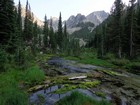 Fantastic creek side views on remote North Baron Creek.