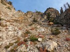 Starting up the southeast gully on Mount Regan.