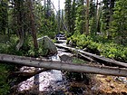 Decker Creek crossing.