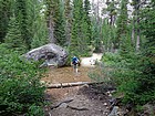 Crossing Redfish Lake Creek near Flatrock Junction.