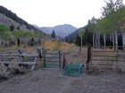 Start of the hike in Scott Canyon.