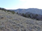 Webber Peak from where I left the trail.