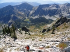 Looking back down the south face gully. The saddle we descended from is in the background.