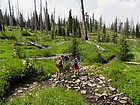 Stream crossing.