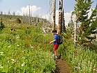 Wildflowers galore.