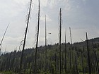 Helicopters fighting a small wildfire.