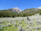 Wet Creek drainage, about a half mile from the trailhead.