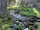 Wet Creek, not far above the trailhead.