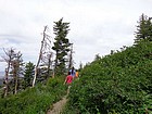 Heading up the Tempest Trail.