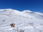 Following the ridge toward Sheep Point.