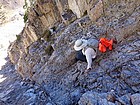 Tom downcliming the crux.