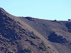 Zoomed in shot of a dozen or so mountain goats on the west ridge of Ebony Peak.