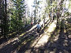 Hiking through the trees on the way back to the car.