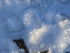 Lots of hoar frost on the lingering snow.