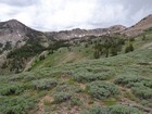 Third Peak and Smoky Dome from the northeast.