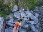 Summit cairn and wildflower bouquet for my wife.