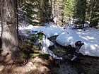 Fun creek crossing.