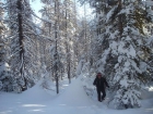 Wandering through the forest early in the hike.